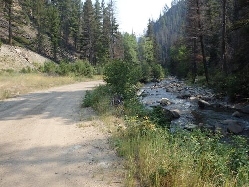 GDMBR: It is always pleasant and serene to ride parallel to a mountian river.